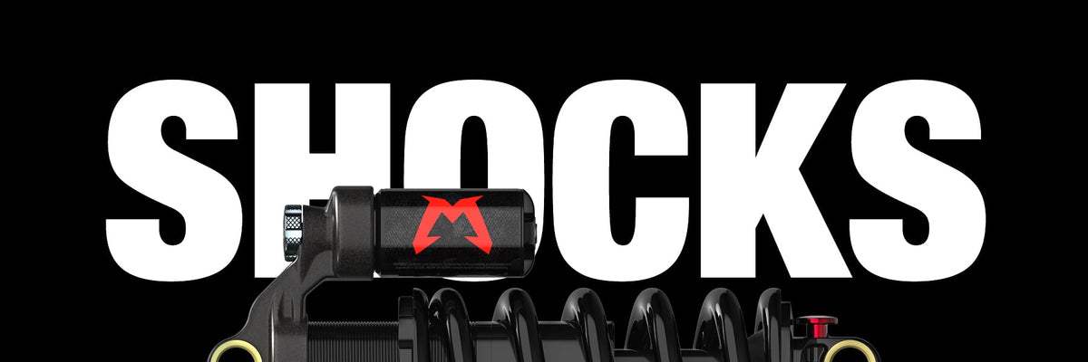 Shocks – Marzocchi